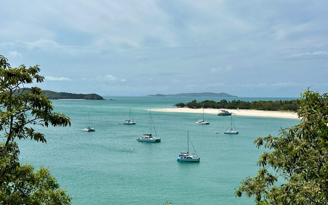 Awe-inspiring turtles on Great Keppel Island