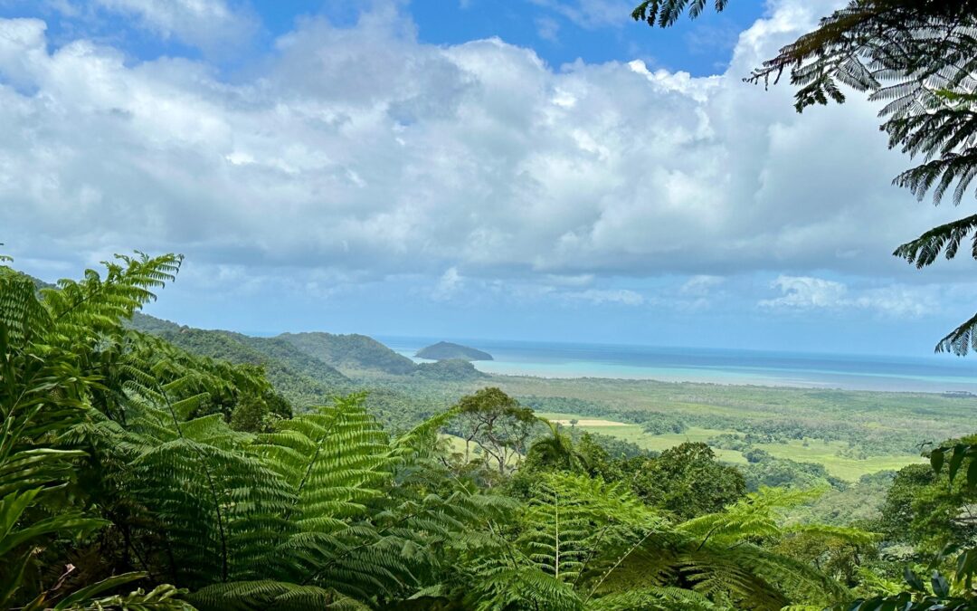 Bye Bye Beach Hallo Hallooo Daintree Rainforest