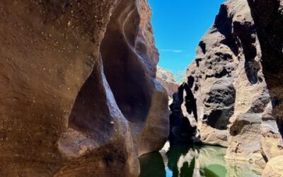 Our Awesome Outback Adventure 