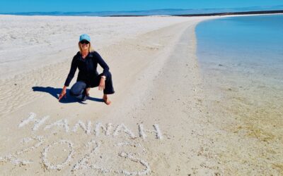 Shark Bay’s Monkey Mia…A Dolphins Paradise