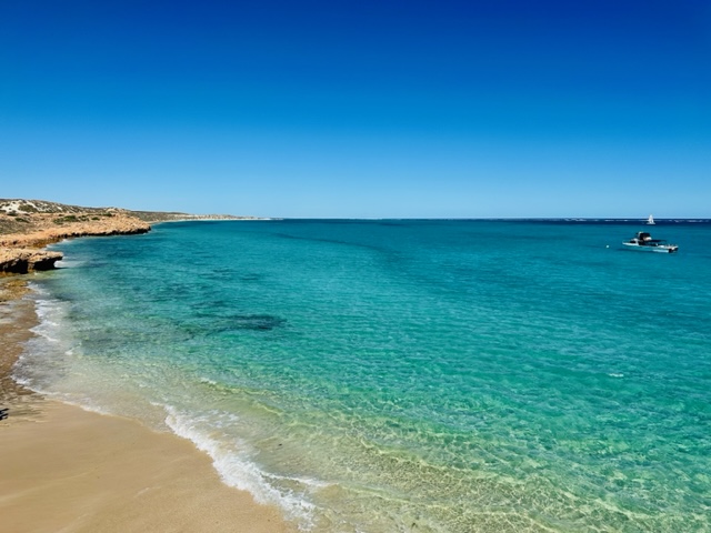 The Amazing Colours of the Coral Coast