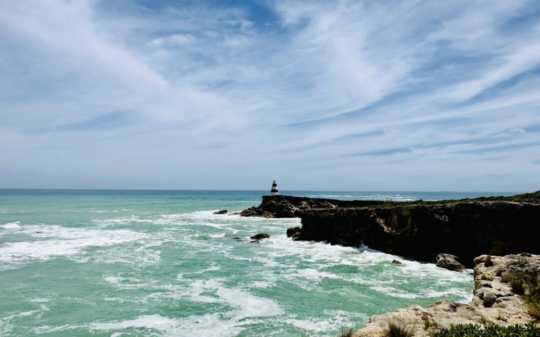 Limestone Coast’s Force of Nature 